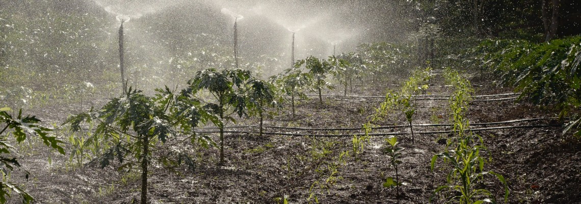Care este importanța irigațiilor în agricultură - cele mai moderne metode de irigare