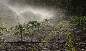 Care este importanța irigațiilor în agricultură - cele mai moderne metode de irigare